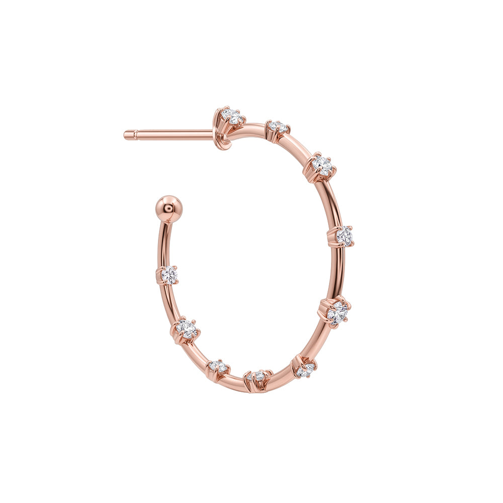 Claudia Earring